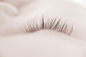 eyelash closeup